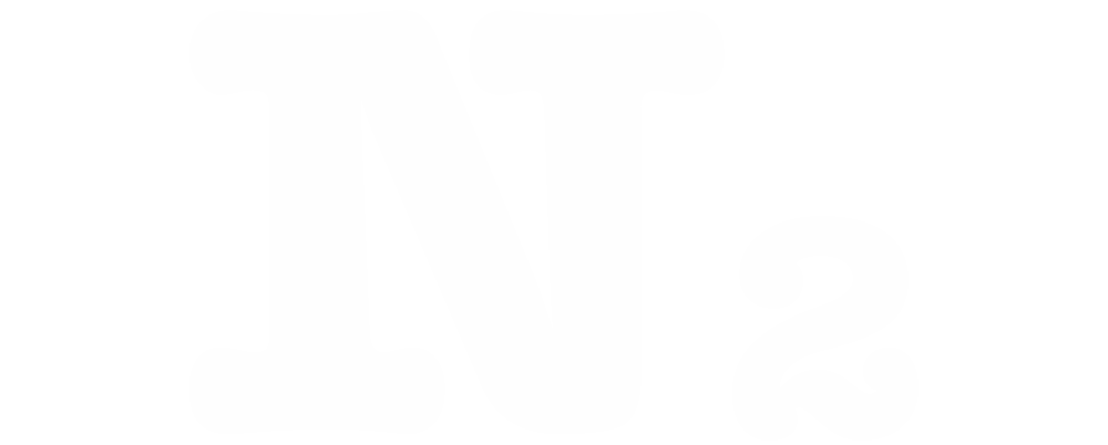 N2 Logo